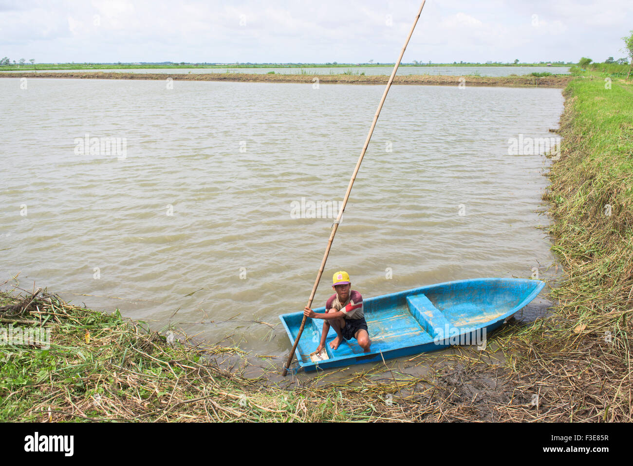 Fattoria di Pesce al Ayeyarwaddy Regione in Myanmar. Foto Stock