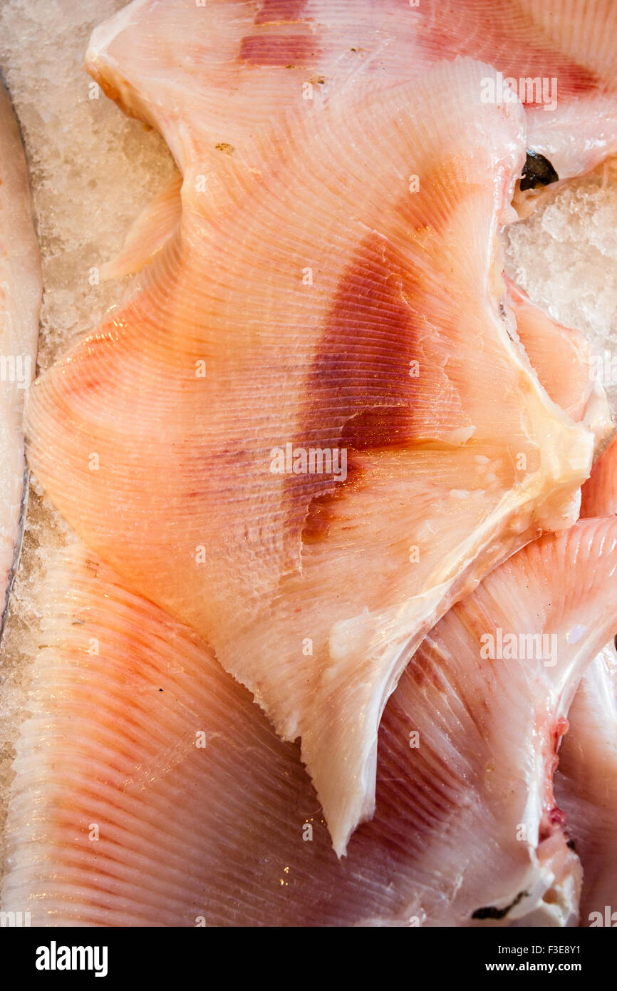 Pescheria, wet-pescheria. Filetti di pesci di pattino visualizzate sul ghiaccio tritato a mercanti di pesce. Rosa carne di pesce con pattern di linee. Foto Stock