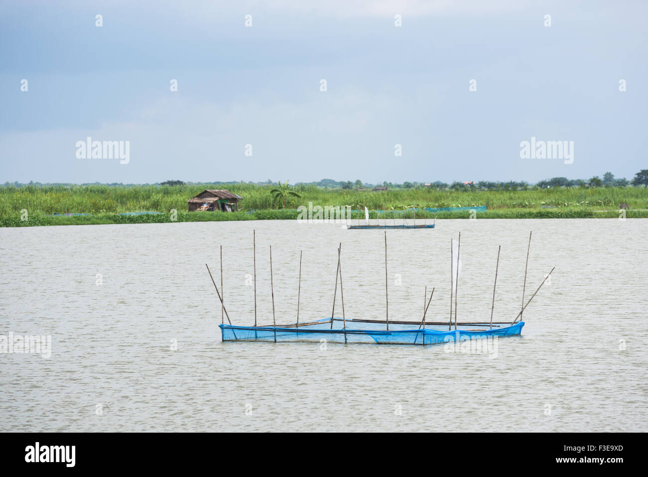 Stazioni di alimentazione in corrispondenza di un allevamento ittico all'Ayeyarwaddy Regione in Myanmar. Foto Stock