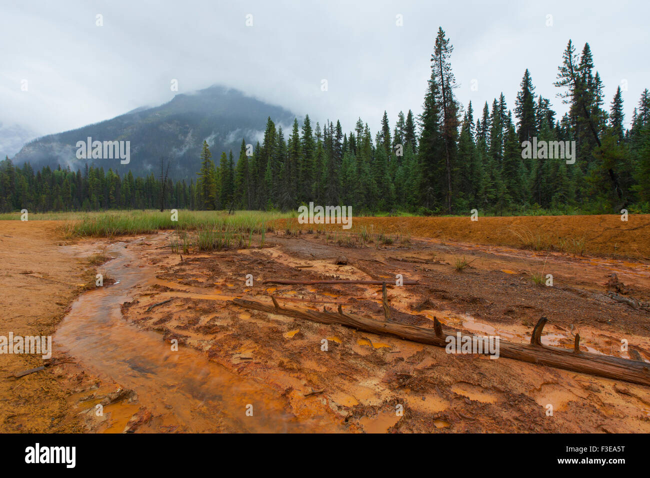 Paint Pots, ferro-freddo ricco di sorgenti minerali nel Kootenay National Park, British Columbia, Canada Foto Stock