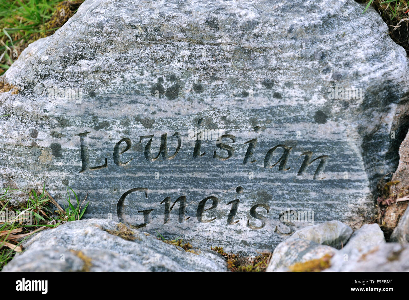 Lewisian gneiss frammento di roccia, parte del puzzle Knockan presso la rupe Knockan Riserva Naturale Nazionale, altopiani, Scozia Foto Stock
