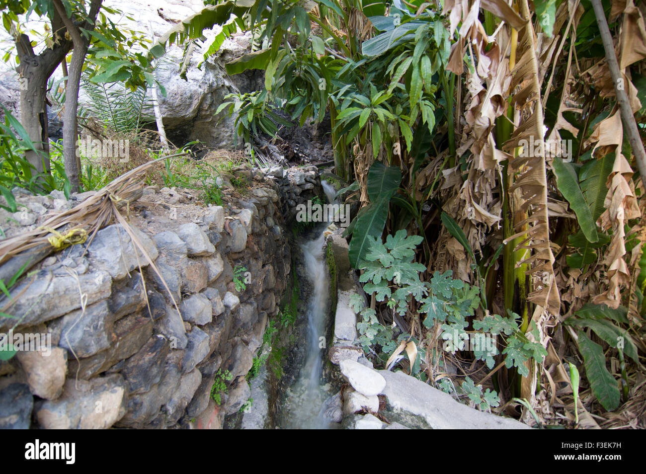 Falaj, antichi tradizionali Omani sistema di irrigazione nell'oasi villaggio di Misfat al Abrayeen nel Sultanato di Oman Foto Stock