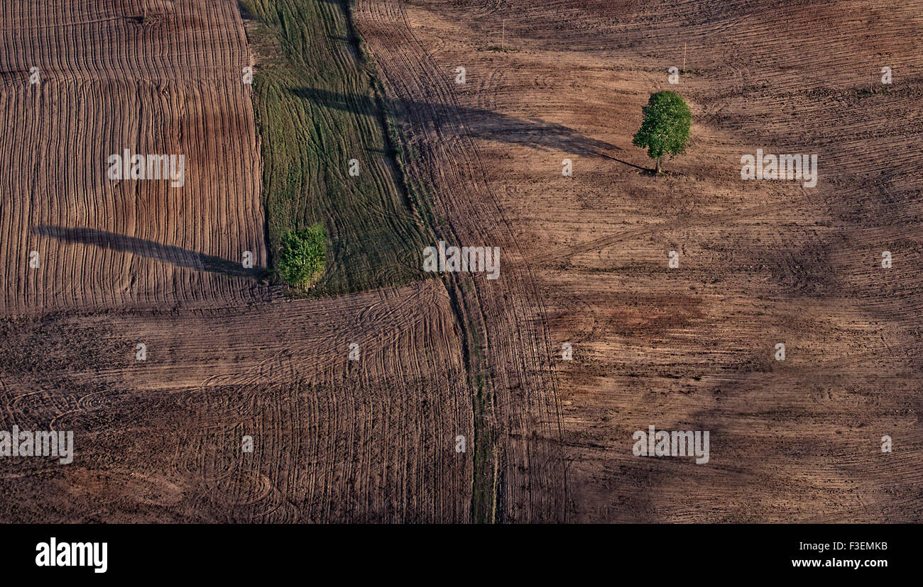 Campo d'autunno sul tramonto Foto Stock