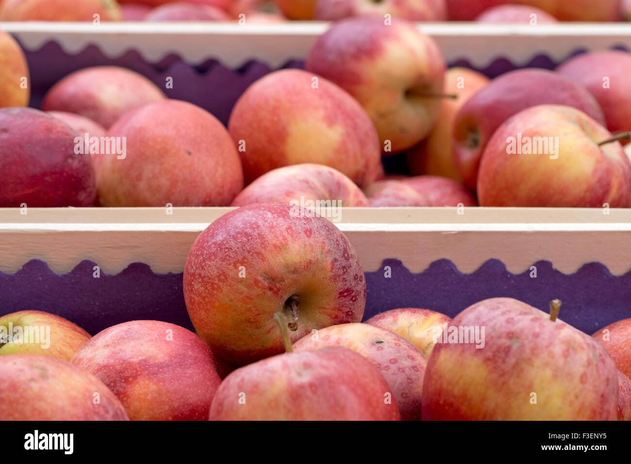 Le mele rosse nel mercato degli agricoltori, bulk, commercio all'ingrosso, ma l'agricoltura su piccola scala. Foto Stock