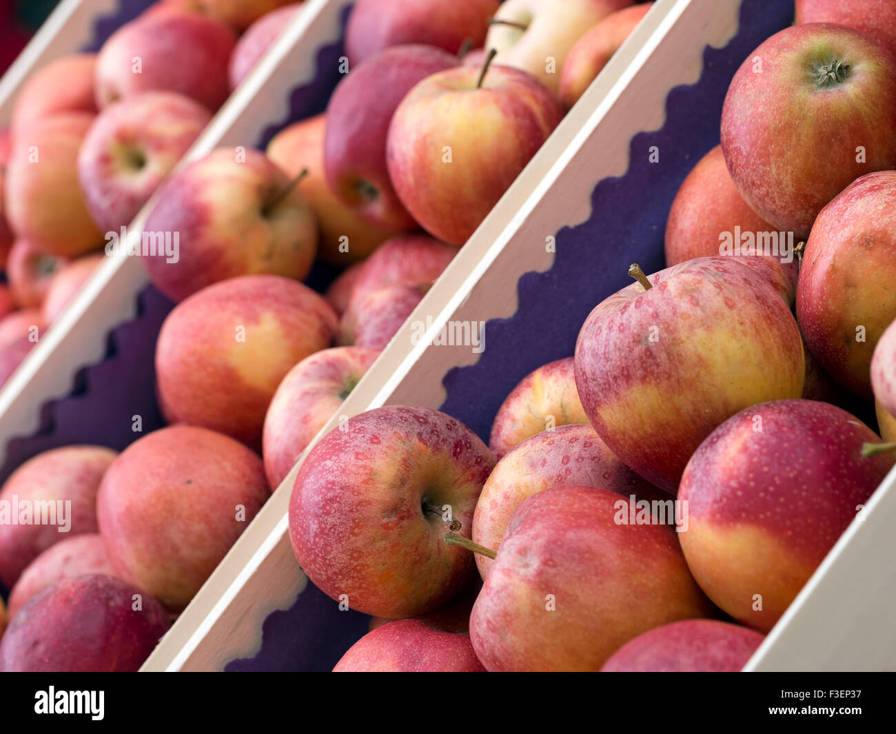 Le mele rosse nel mercato degli agricoltori, bulk, commercio all'ingrosso, ma l'agricoltura su piccola scala. La messa a fuoco del differenziale. Foto Stock