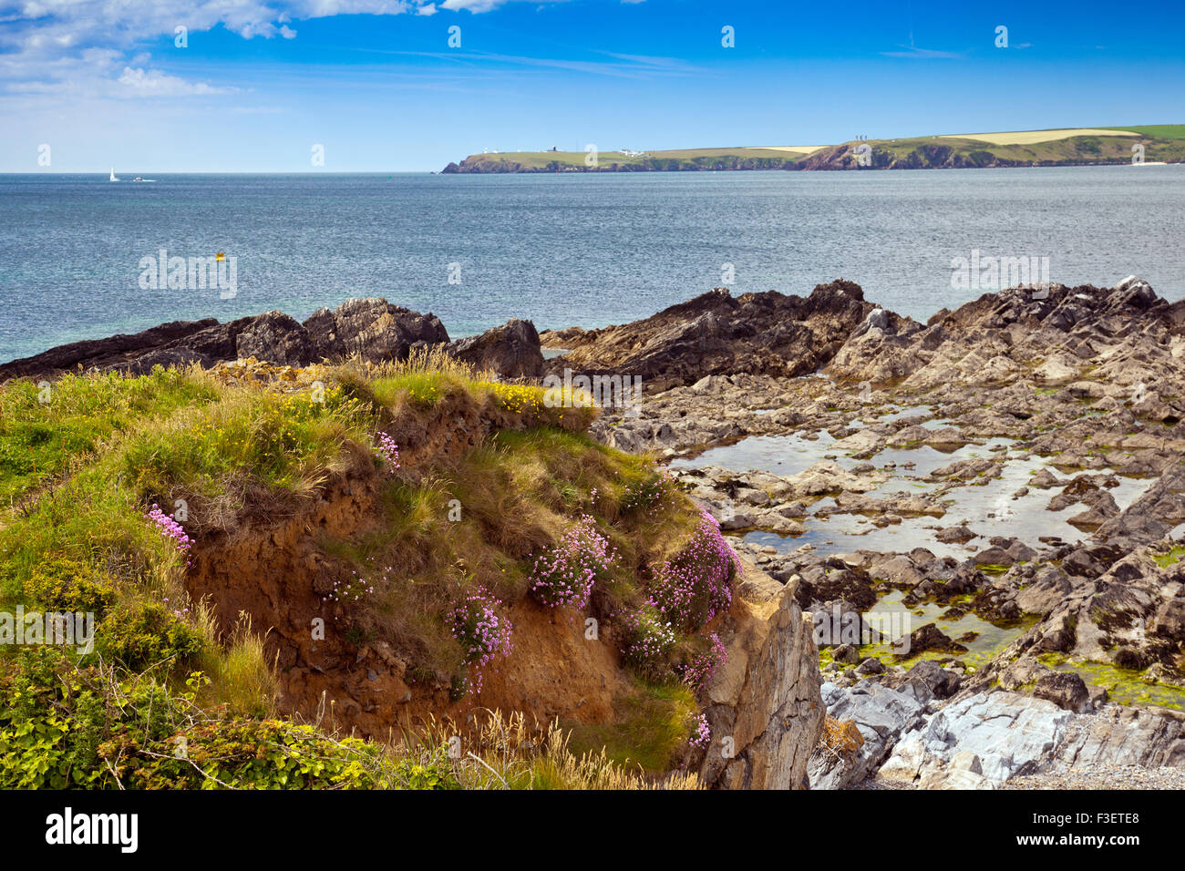 La vista sul Milford Haven verso St Ann della testa del angolo di West Bay in Il Pembrokeshire Coast National Park, Wales, Regno Unito Foto Stock