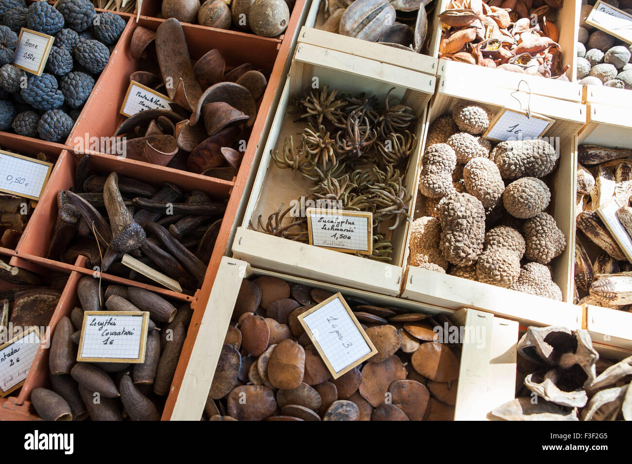 Scatole di semi assortiti, spezie, dadi, sbuccia e naturali elementi decorativi Foto Stock