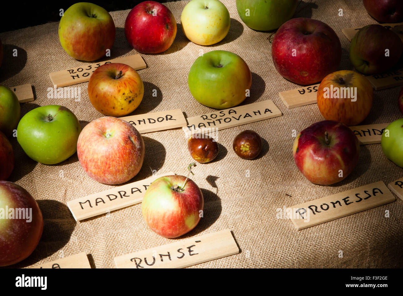 Mele sul display in un italiano di Mercato degli Agricoltori Foto Stock