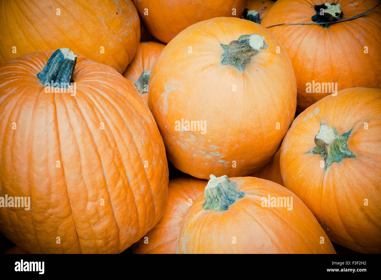 Pila di zucche arancione Foto Stock