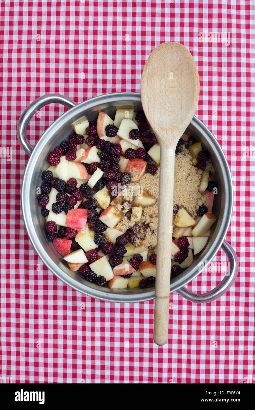 Pan di foraged more e mele con lo zucchero e un cucchiaio di legno su una tovaglia gingham Foto Stock