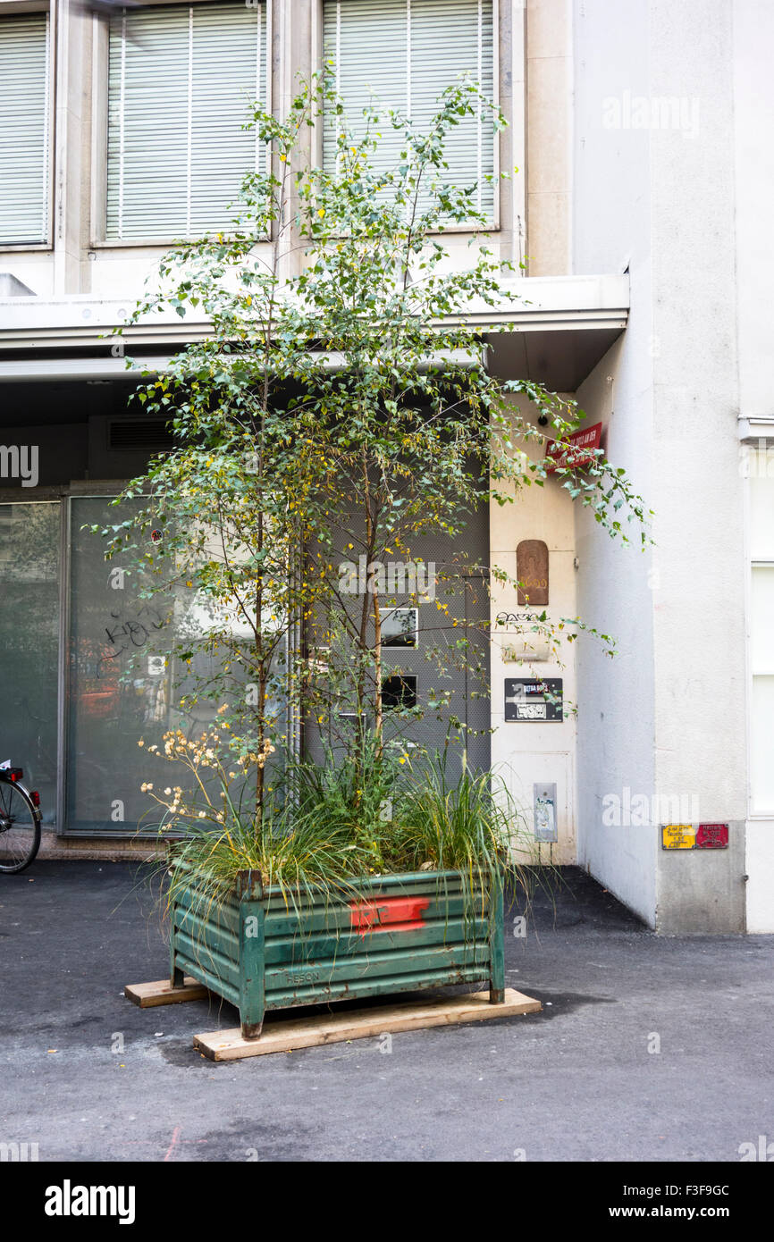 Il giardinaggio urbano a Basilea in Svizzera Foto Stock
