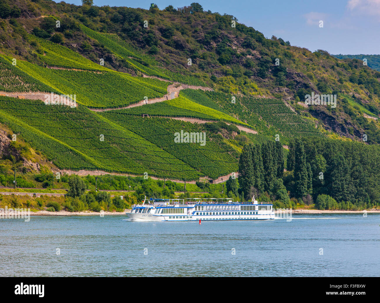 La nave di crociera attraversando vigneti, Medio Reno, Germania Foto Stock