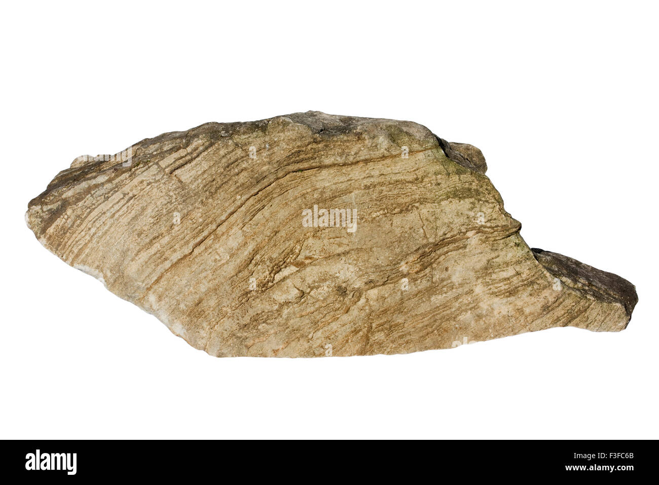 Stromatolite Foto Stock