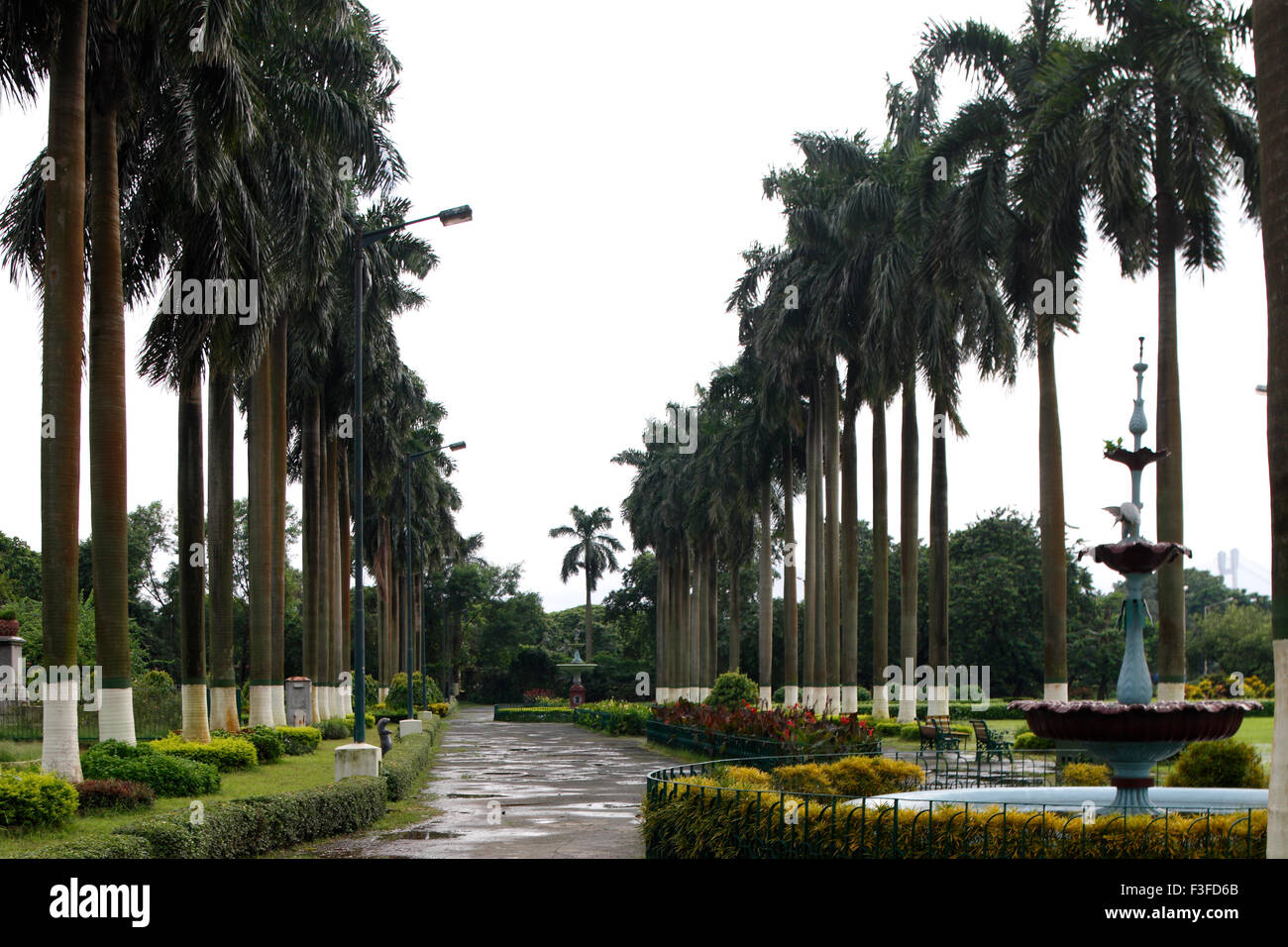 Eden Garden ; Fonte e palme ; Calcutta ; Kolkata ; Bengala Occidentale ; India ; Asia Foto Stock