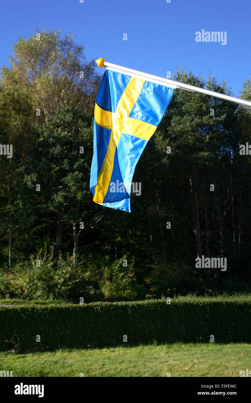 Blu e Giallo bandiera svedese Foto Stock