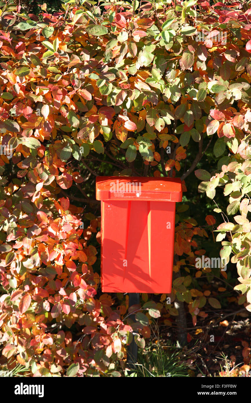 Colore rosso post box circondato da foglie di piante Foto Stock