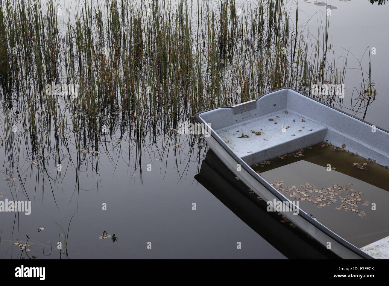 Concetto ; piccola barca riempita con acqua nel lago ; Svezia Foto Stock