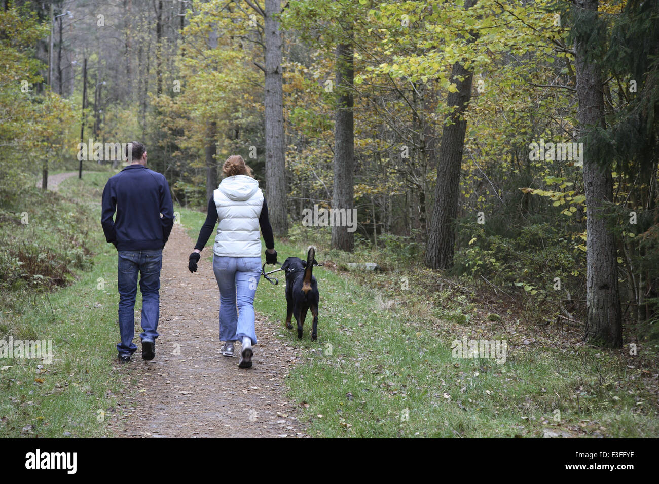 Coppia giovane con il cane a camminare nella foresta durante l'autunno - Nessun modello di rilascio Foto Stock