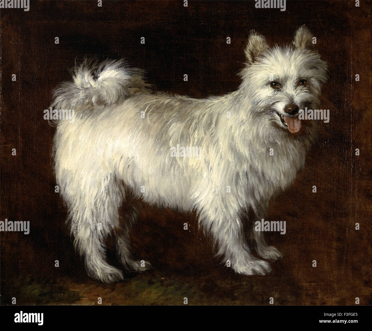 Thomas Gainsboroug - Spitz Cane Foto Stock