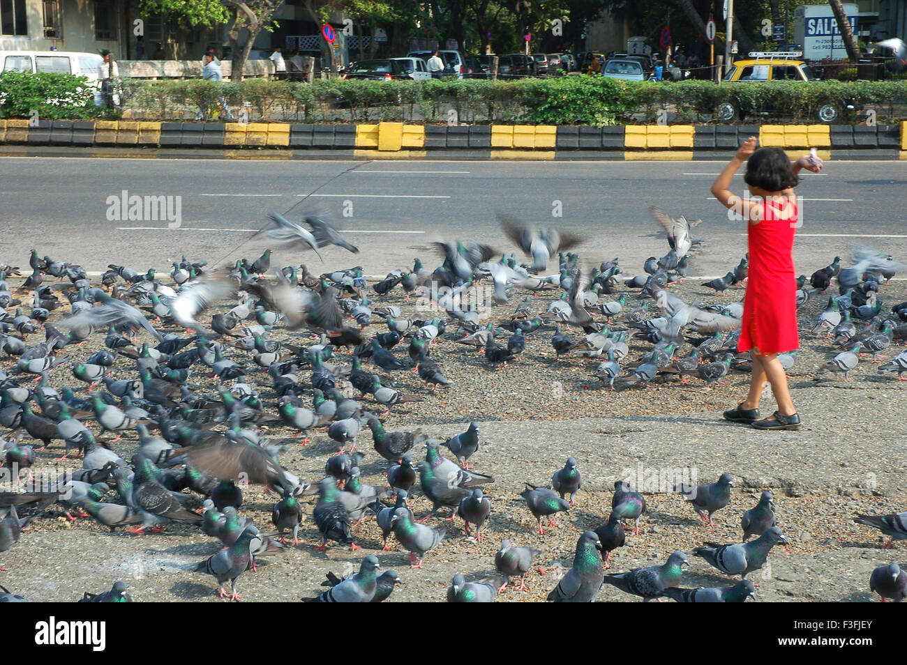 Bambini che giocano con i piccioni a Marine Drive ; Nariman Point ; Mumbai Bombay ; Maharashtra ; India ; Asia Foto Stock