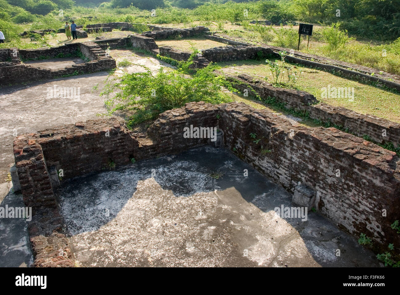 Champaner Pavagadh scavi M S Università Baroda 1970 1975 ha portato la luce Amir Manzil Panchmahals complesse Foto Stock