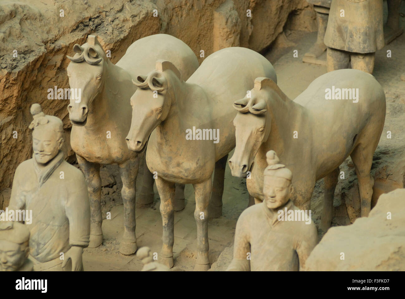 Le statue dei Guerrieri di Terracotta e i loro cavalli nella fossa 1 ; Esercito di Terracotta ; dinastia Qin ; Xian ; Cina Foto Stock