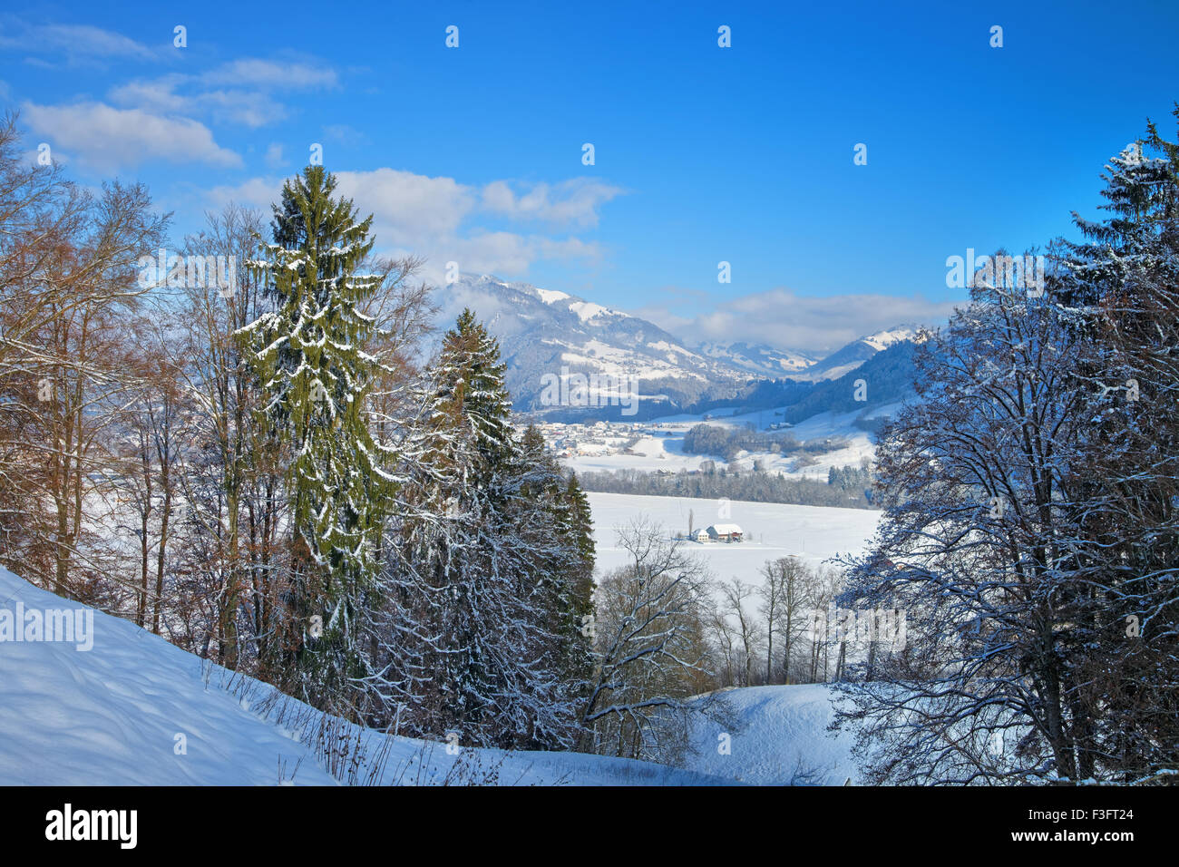 Lo splendido paesaggio di montagna della Svizzera. Regione della Gruyère, provincia di Friburgo Foto Stock