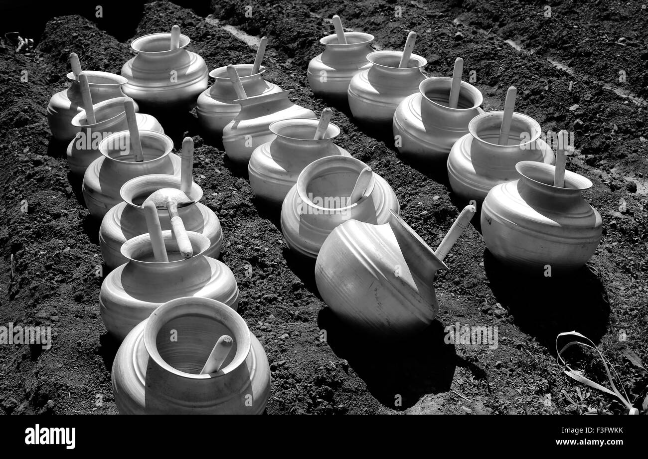 Agricoltura bocce essendo consegnati ai Kuchi minoranza afgano Foto Stock
