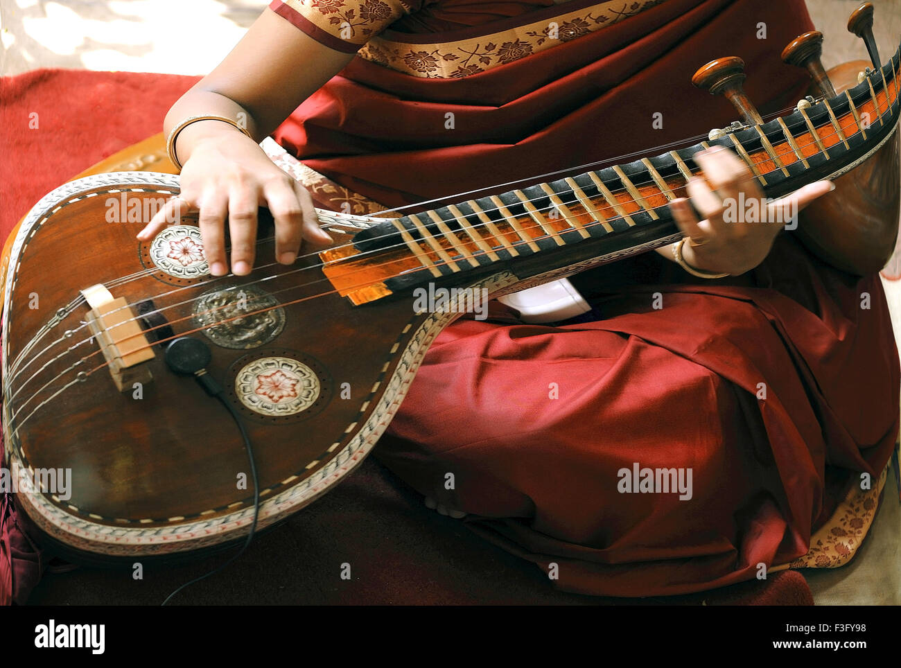 Musical instrument veena immagini e fotografie stock ad alta risoluzione -  Alamy