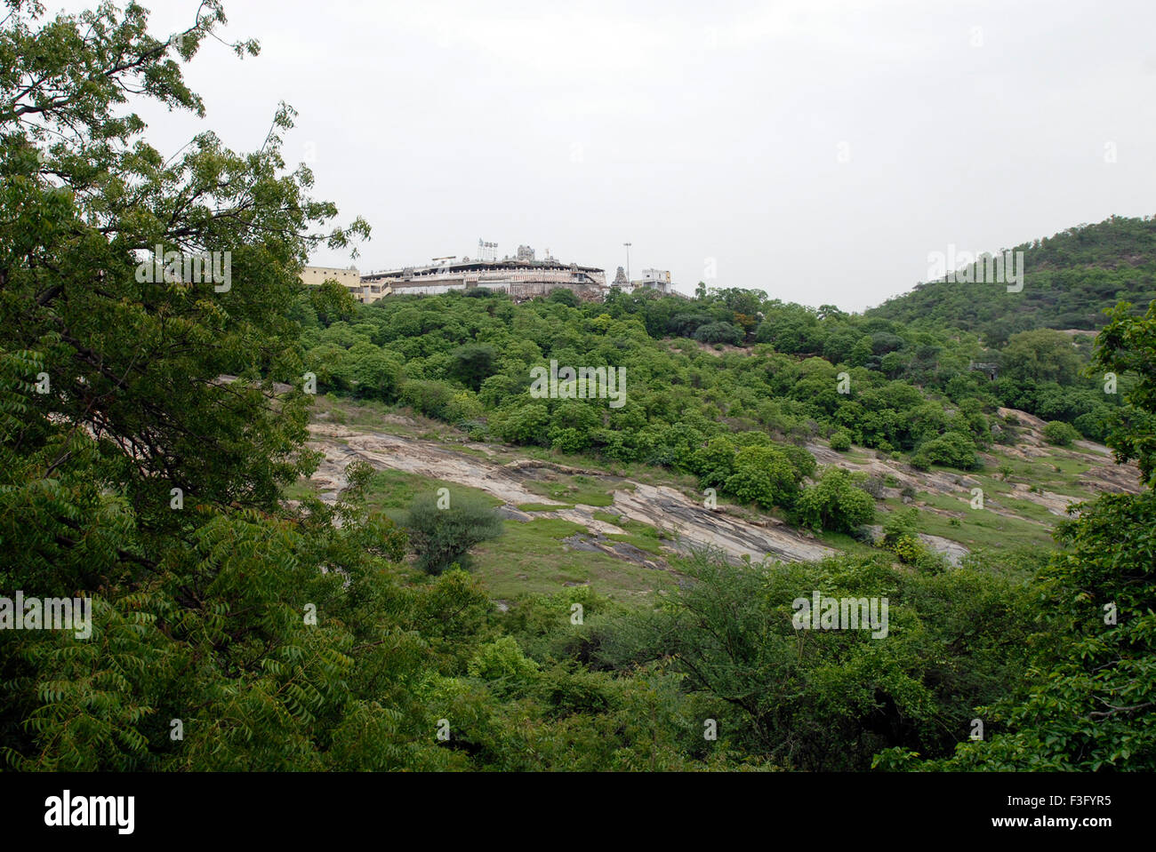 Signore Subrahmanya tempio situato sulla gamma di colline ; Tirutani ; Tamil Nadu ; India Foto Stock