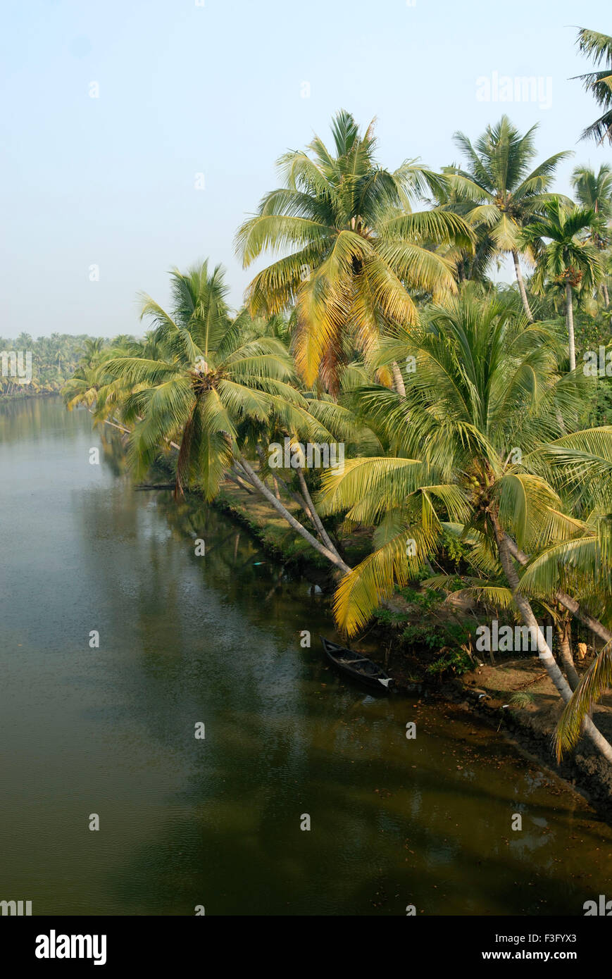 Backwaters, Kodungallur, distretto di Thrissur, Cochin, Kochi, Kerala, India, Asia Foto Stock