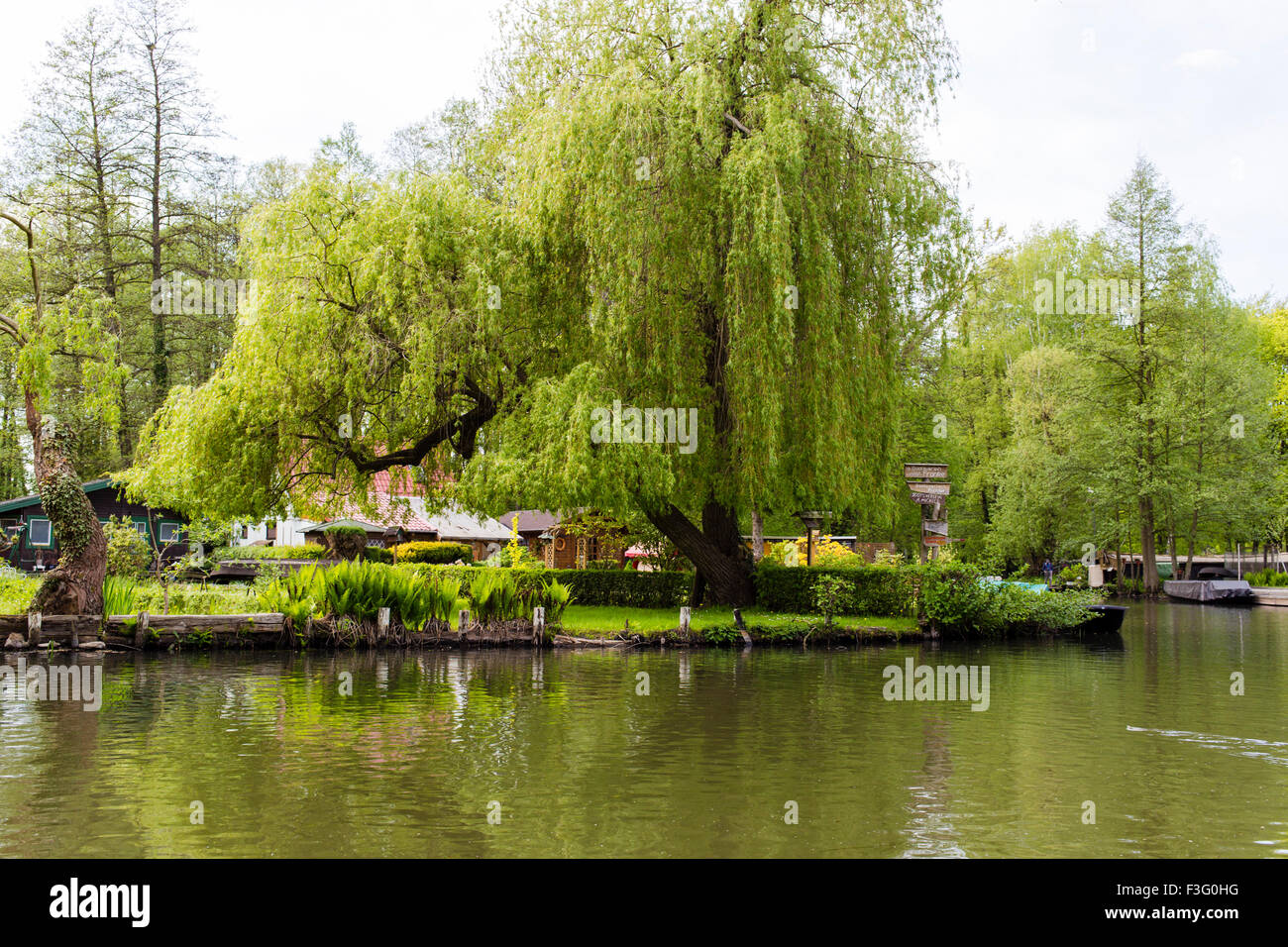 Idilliaco e vie navigabili verde della Spreewald Canal nel Brandeburgo, Germania Foto Stock