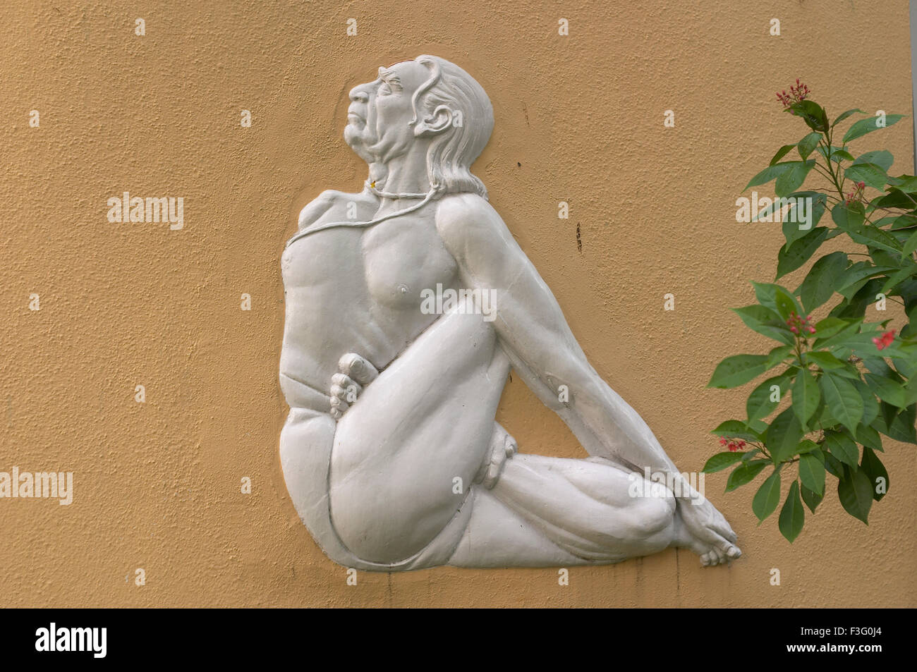 Shri Yogacharya B K S Iyengar statua Guruji una leggenda vivente che ha insegnato lo yoga in modo univoco Foto Stock