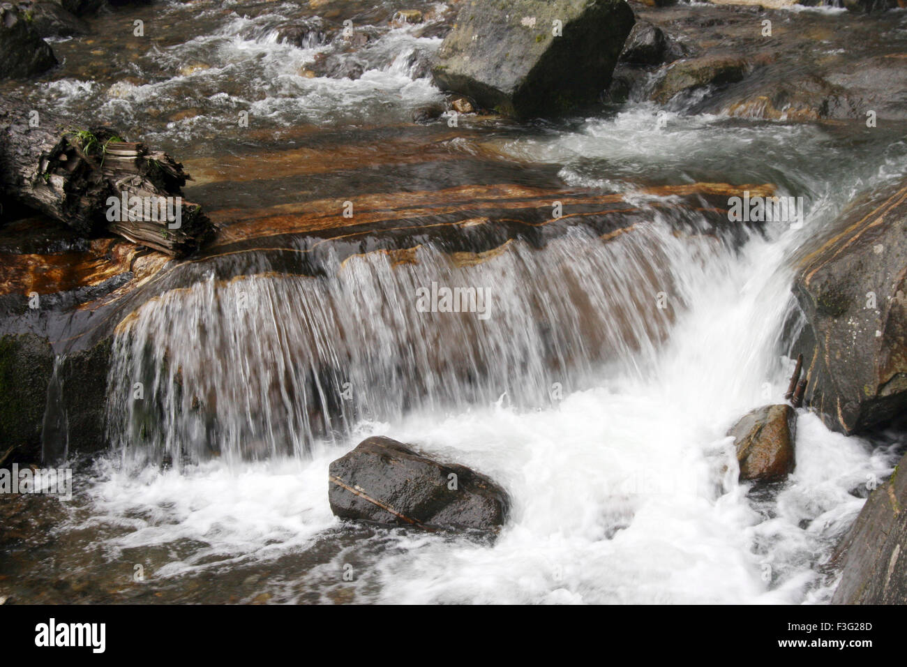 Fiume sotto le cascate di Jogini ; Nehru Kund ; Vashisht ; Bashisht ; Manali ; Himachal Pradesh ; India ; Asia Foto Stock