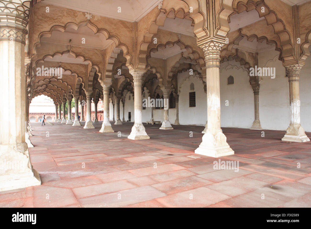 Agra fort costruito nel sedicesimo secolo dall'imperatore Mughal sulla riva occidentale del fiume Yamuna ; Agra ; Uttar Pradesh Foto Stock