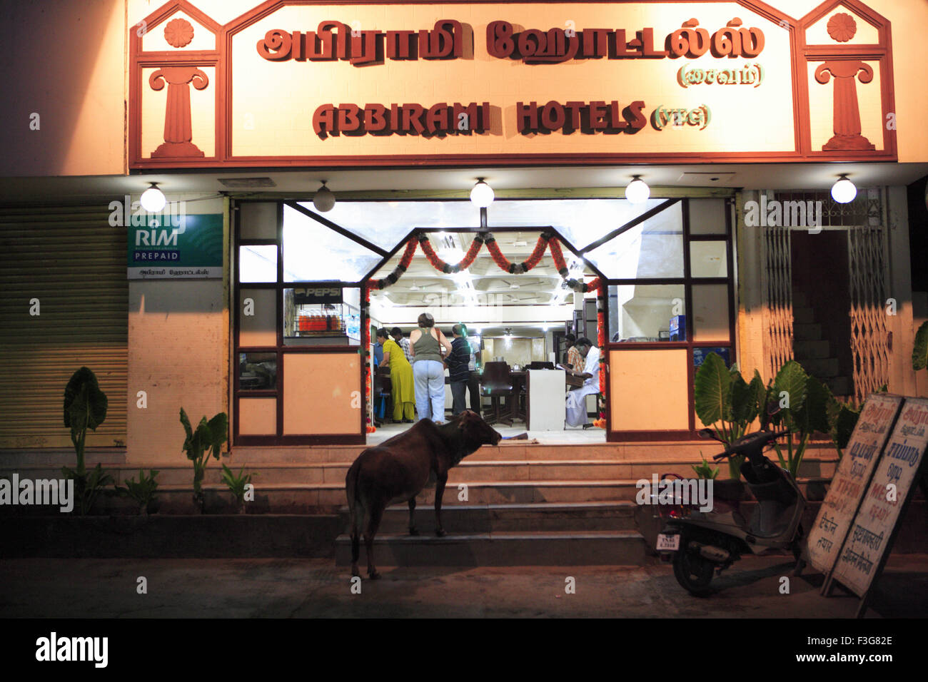 Mucca ai gradini d'ingresso dell'hotel ; Abbirami Hotels ; Rameswaram ; Tamil Nadu ; India ; Asia Foto Stock
