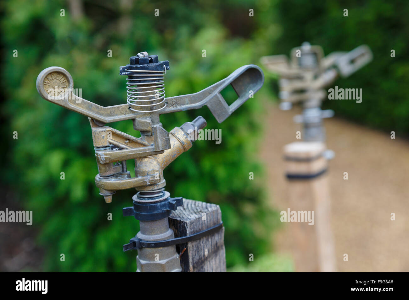 Irrigazione di distribuzione automatica della valvola di controllo. Foto Stock