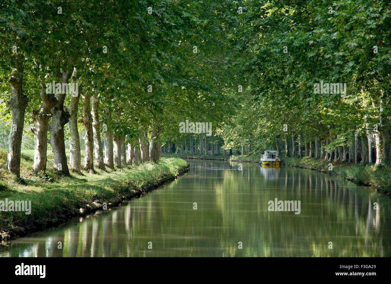 Canale alberato ; Parigi ; Francia ; Francese ; Europa ; Europeo Foto Stock