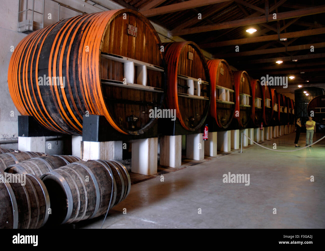 Noilly Prat Vermouth ; Noilly Pratt ; Francia ; Francese ; Europa ; Europeo Foto Stock