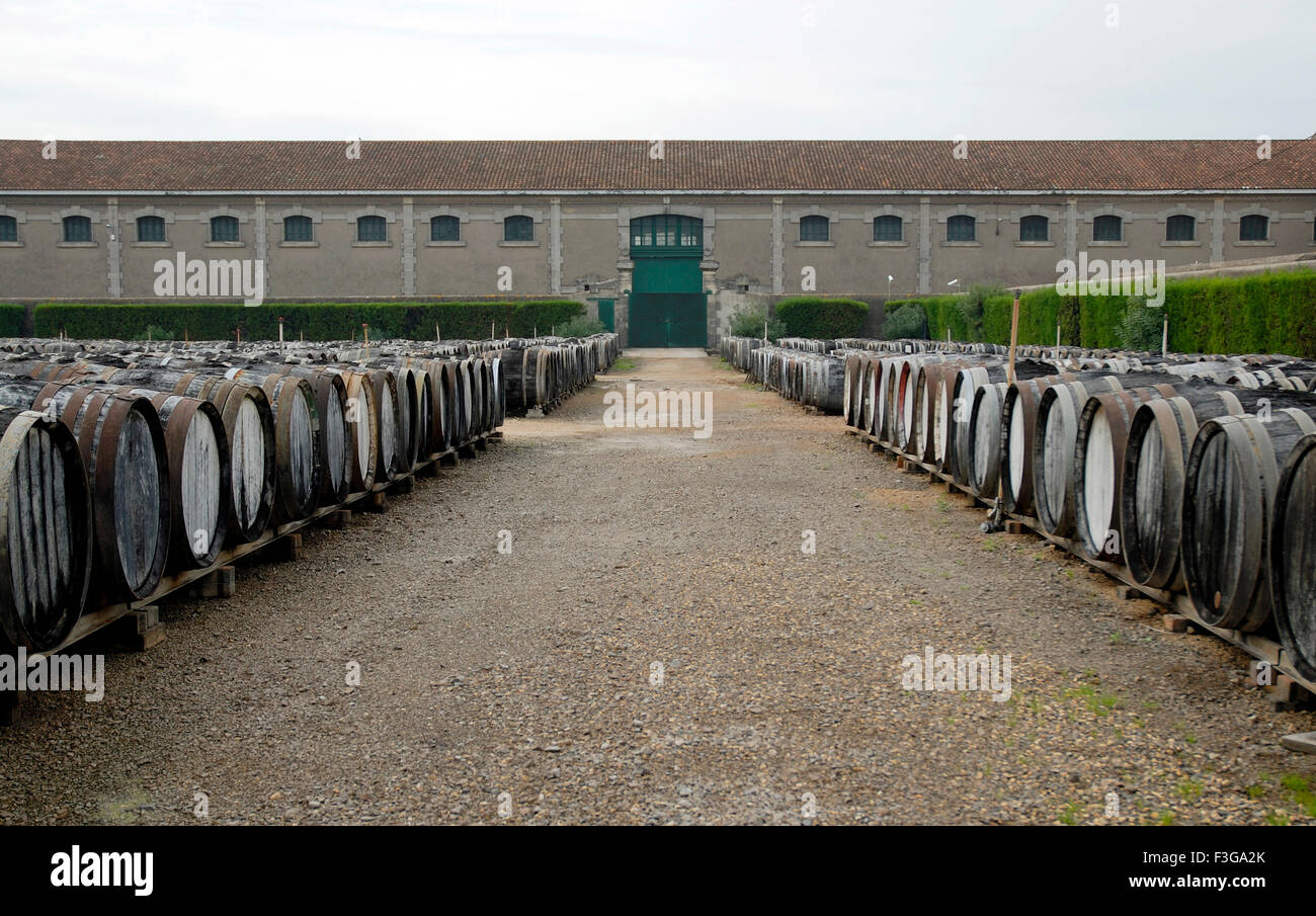 Noilly Prat Vermouth ; Noilly Pratt ; Francia ; Francese ; Europa ; Europeo Foto Stock