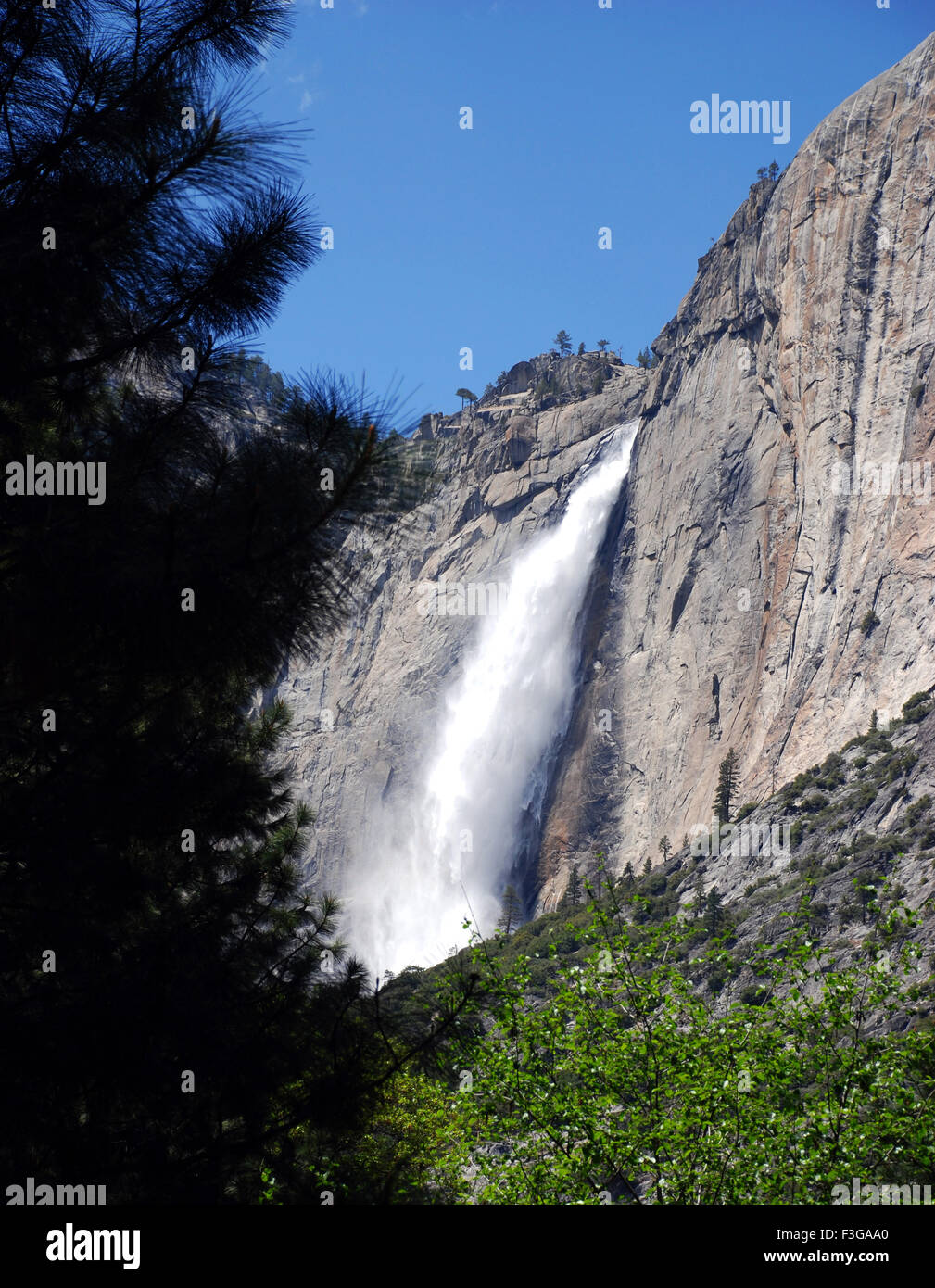 Cascata ; Sito Patrimonio Mondiale 1984 ; il Parco Nazionale di Yosemite ; California ; Stati Uniti Stati Uniti d'America Foto Stock