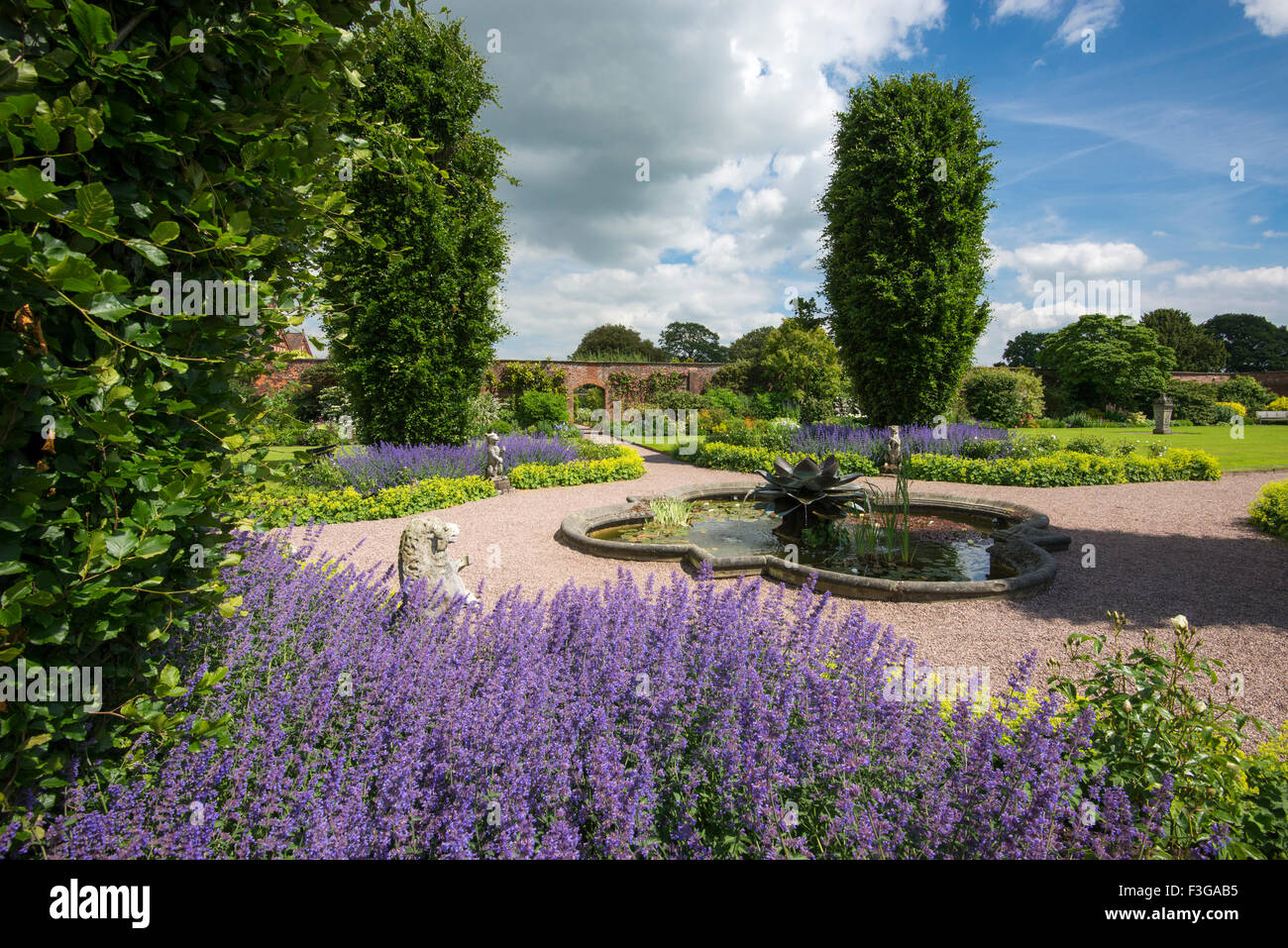 Una massa di nepitella blu (Nepeta) fioritura in il giardino murato a Arley Hall. Ninfea funzione di acqua nel mezzo della garde Foto Stock