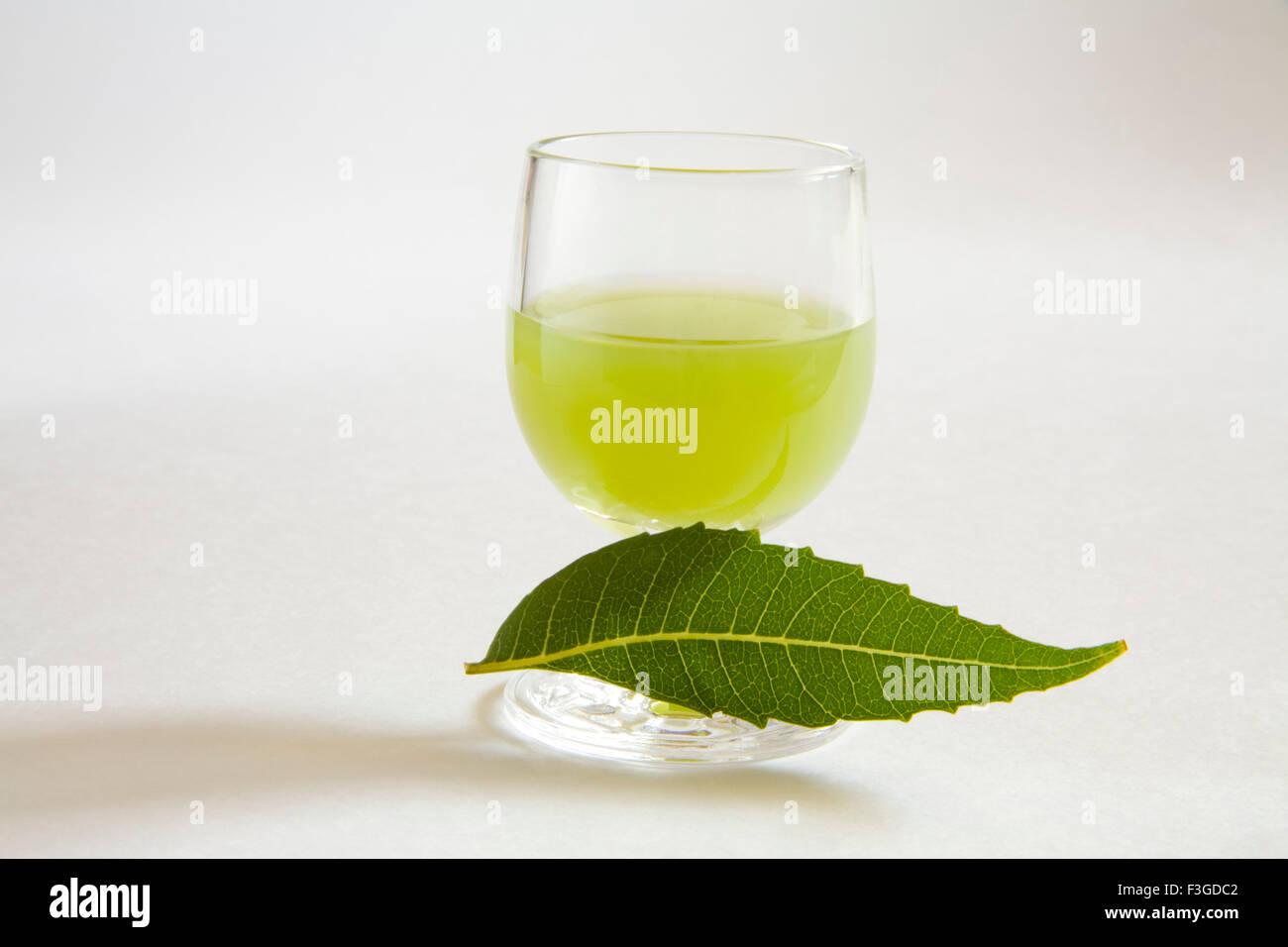 Neem o foglie di margosa e bicchiere di succo di frutta Melia azadirachta medicina meravigliosa Foto Stock