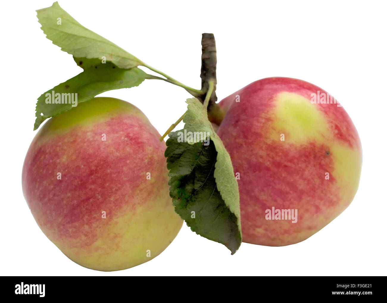 Frutta, sano, Apple, rosso, fresche, cibo, dolce, mangiare, organico, mature. Foto Stock