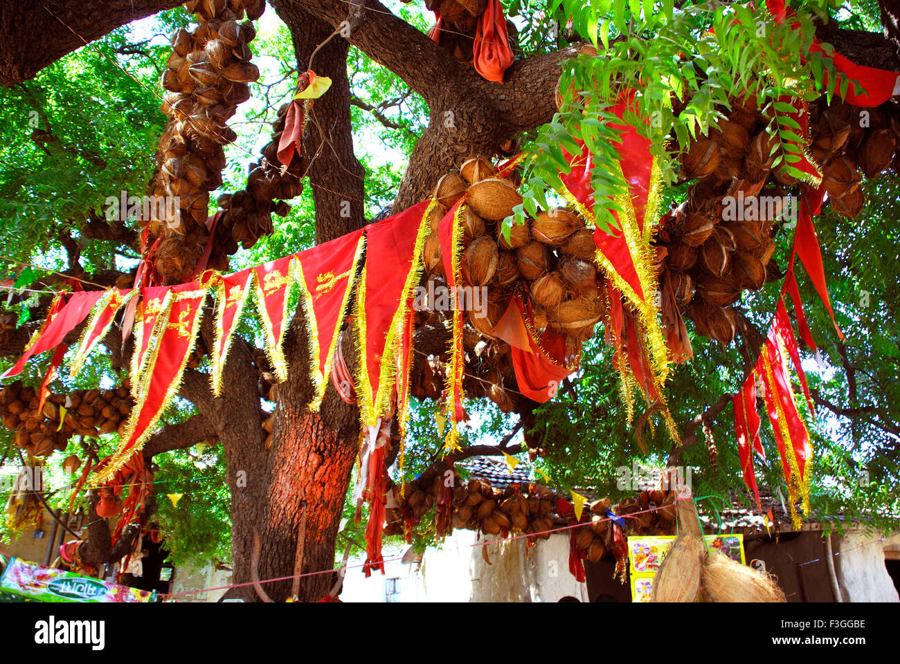 Superstizione indù, Lalji Maharaj ni Jagya, Sayla, tempio indù, Surendranagar, Gujarat, India, Asia Foto Stock