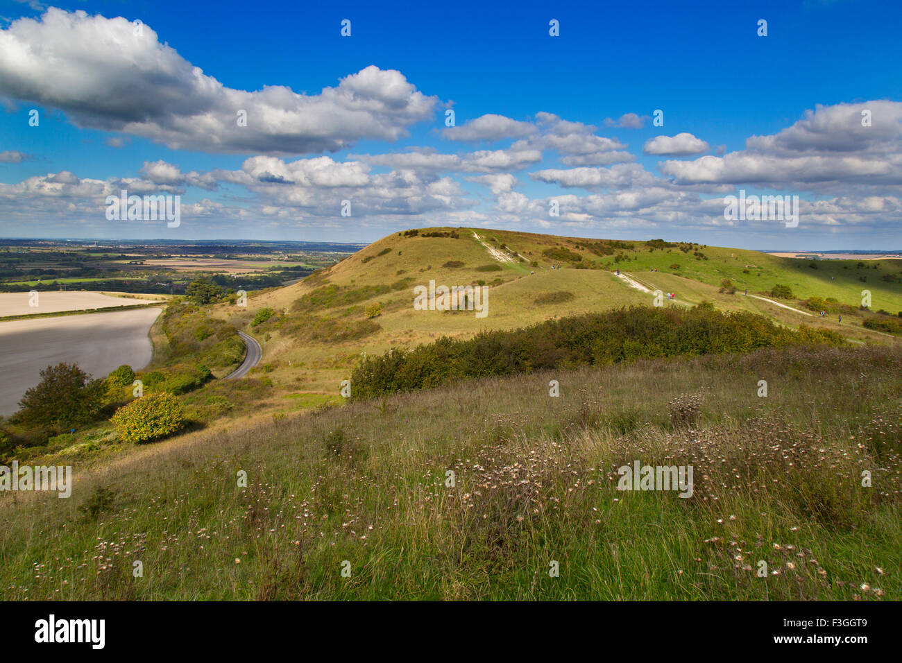 La Ridgeway a lunga distanza e percorso di Chiltern Downland Ivinghoe colline Bucks REGNO UNITO Foto Stock