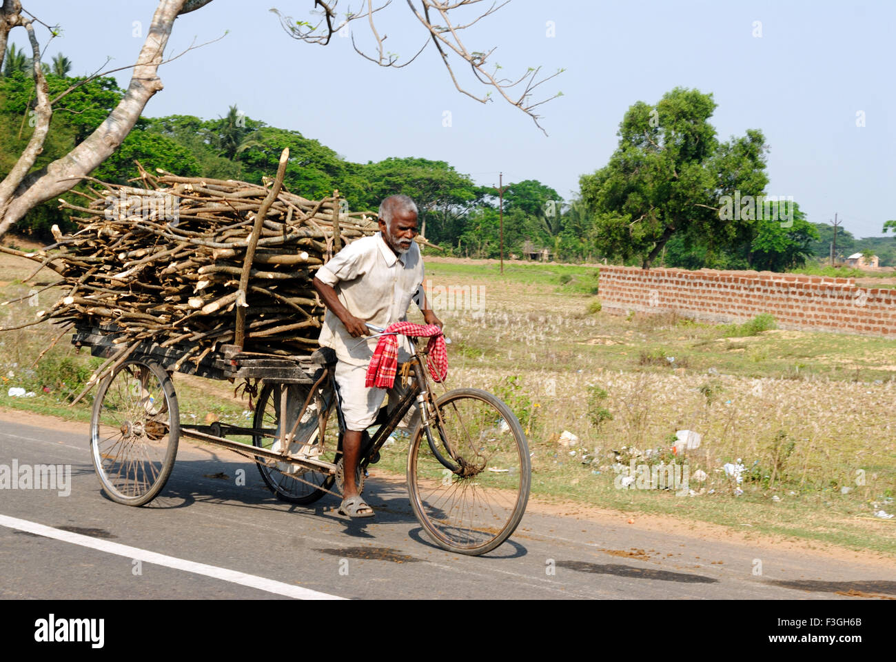 Imprenditore lavorando molto duramente per sfamare la sua famiglia ; Bhubaneswar ; Orissa ; India Foto Stock