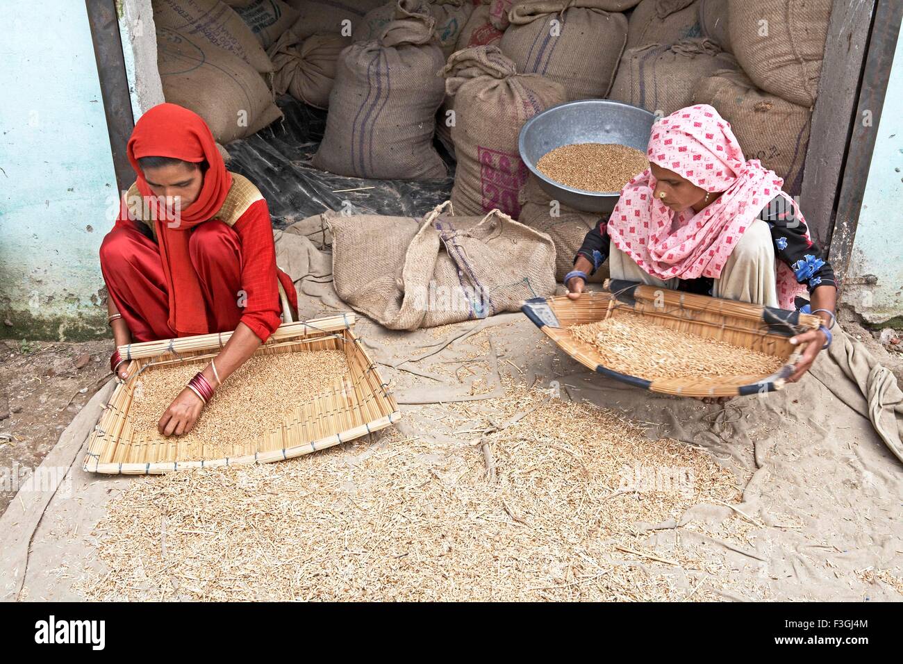 Le donne la rimozione delle impurezze dal frumento ala in un villaggio in Uttaranchal ; India Foto Stock