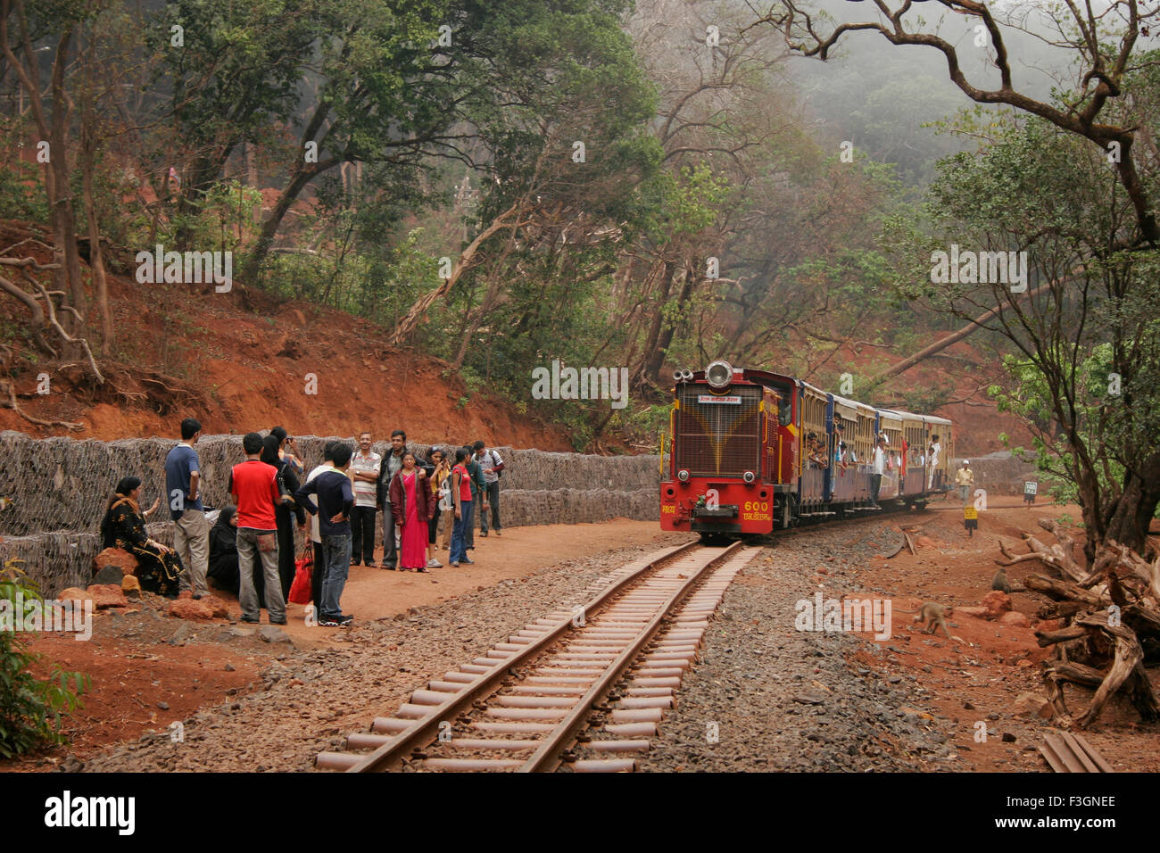 Treno giocattolo della ferrovia indiana, treno giocattolo di Neral Matheran, ferrovia di Matheran Hill, Matheran, Maharashtra, India Foto Stock