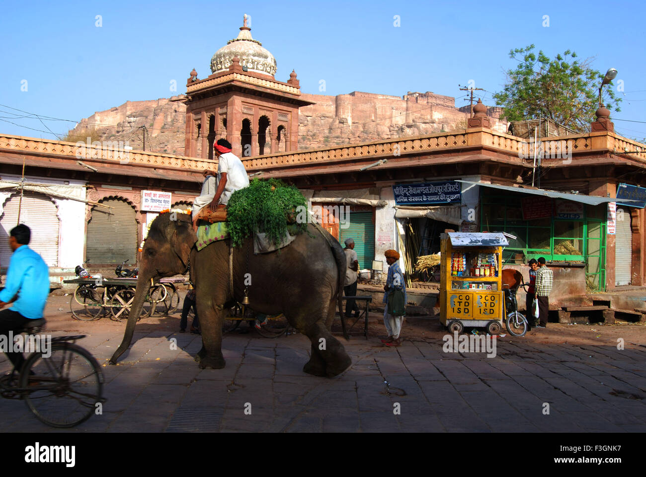 L'elefante nella torre dell orologio mercato ; Jodhpur ; Rajasthan ; India Foto Stock